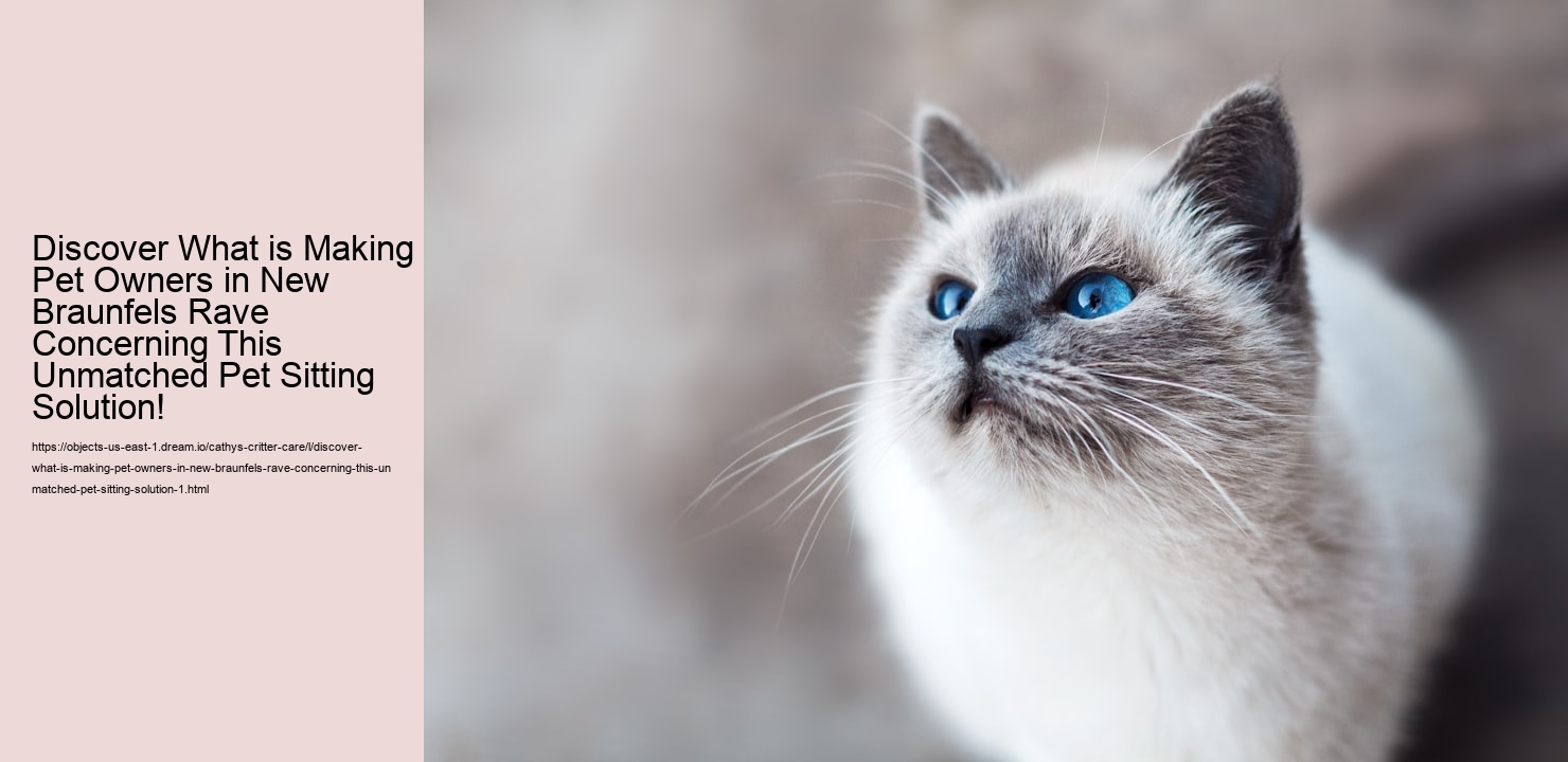 Discover What is Making Pet Owners in New Braunfels Rave Concerning This Unmatched Pet Sitting Solution!