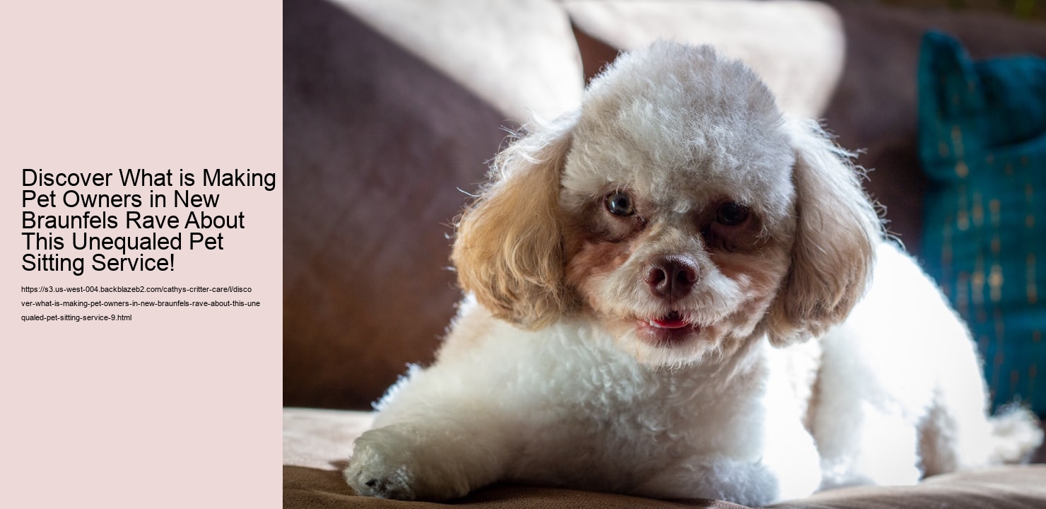 Discover What is Making Pet Owners in New Braunfels Rave About This Unequaled Pet Sitting Service!
