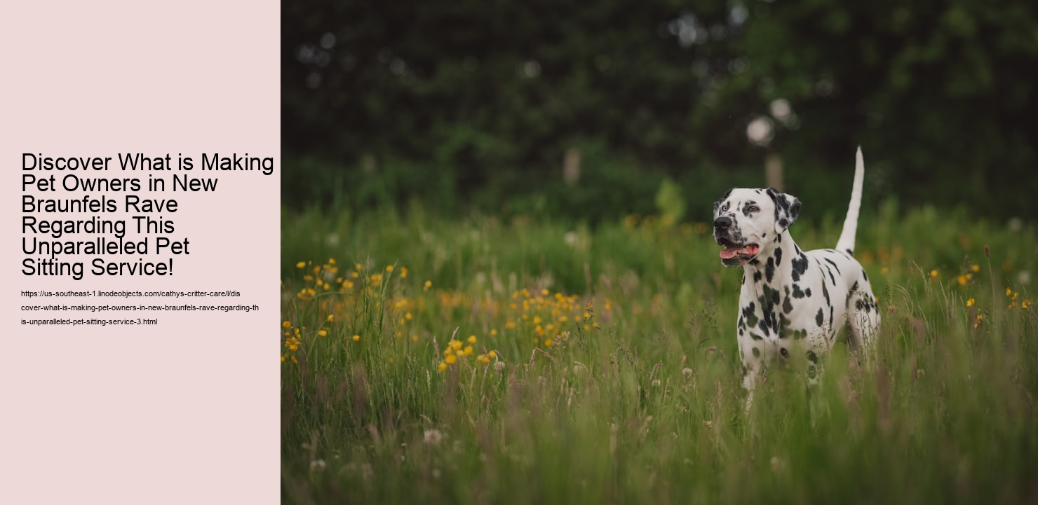 Discover What is Making Pet Owners in New Braunfels Rave Regarding This Unparalleled Pet Sitting Service!