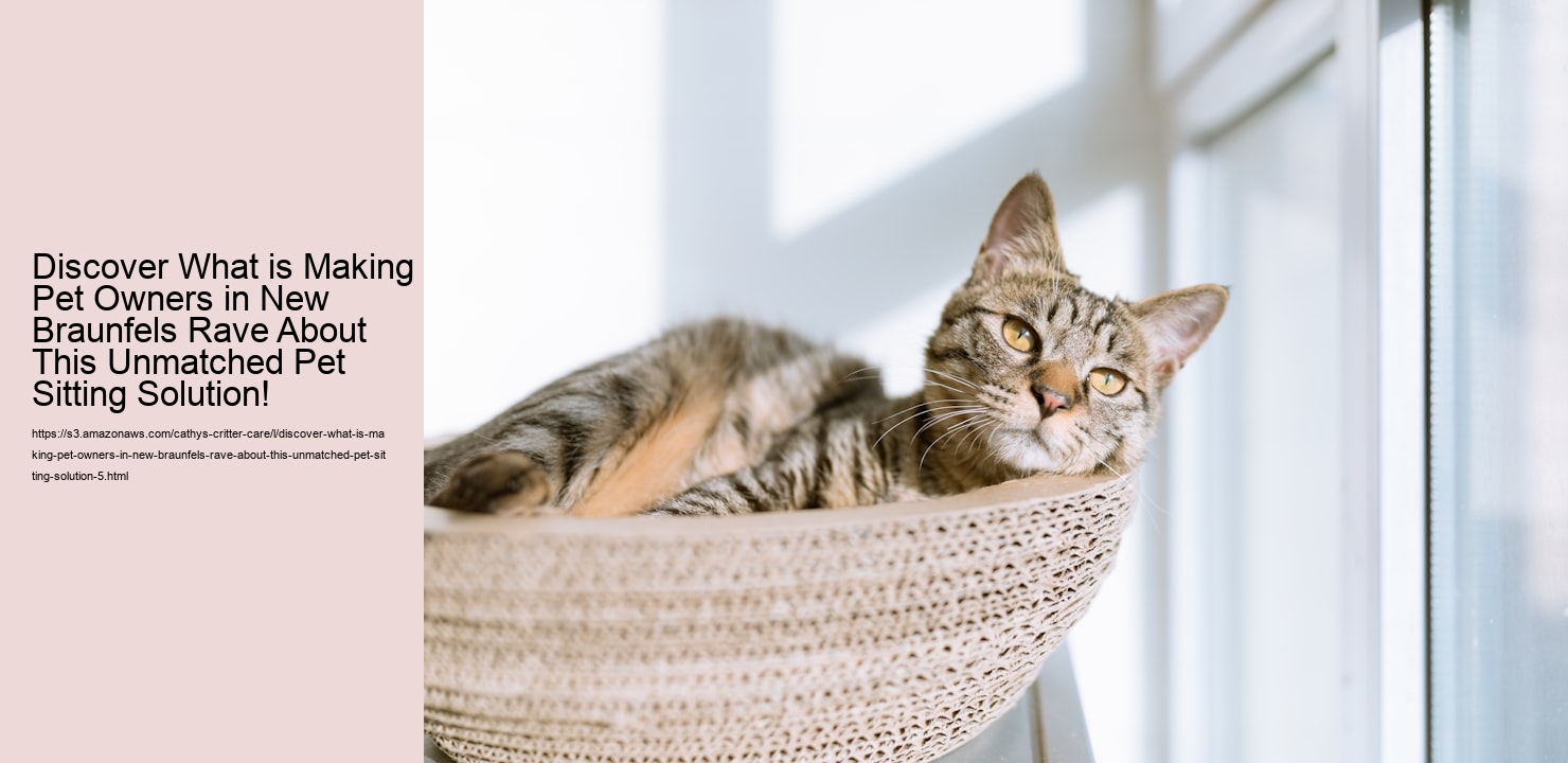 Discover What is Making Pet Owners in New Braunfels Rave About This Unmatched Pet Sitting Solution!