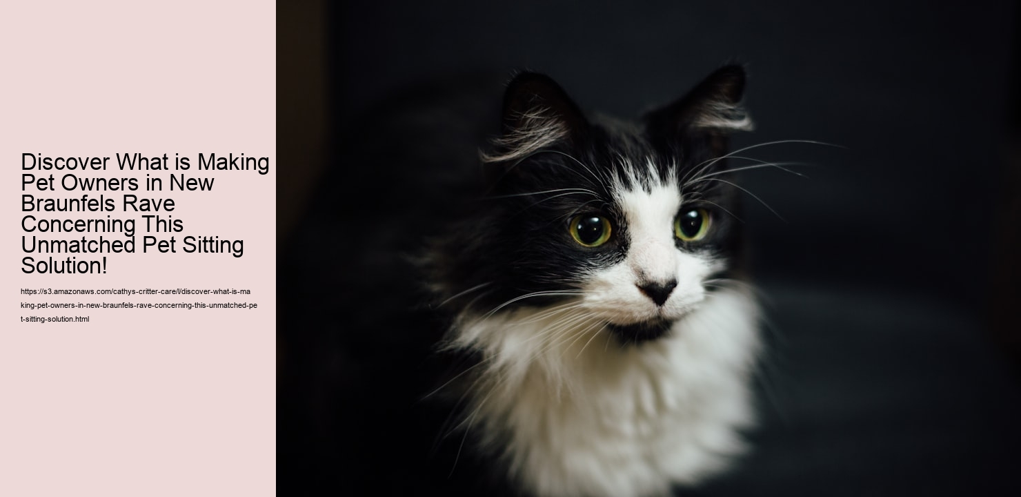 Discover What is Making Pet Owners in New Braunfels Rave Concerning This Unmatched Pet Sitting Solution!