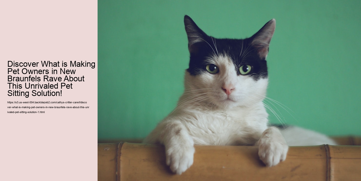 Discover What is Making Pet Owners in New Braunfels Rave About This Unrivaled Pet Sitting Solution!