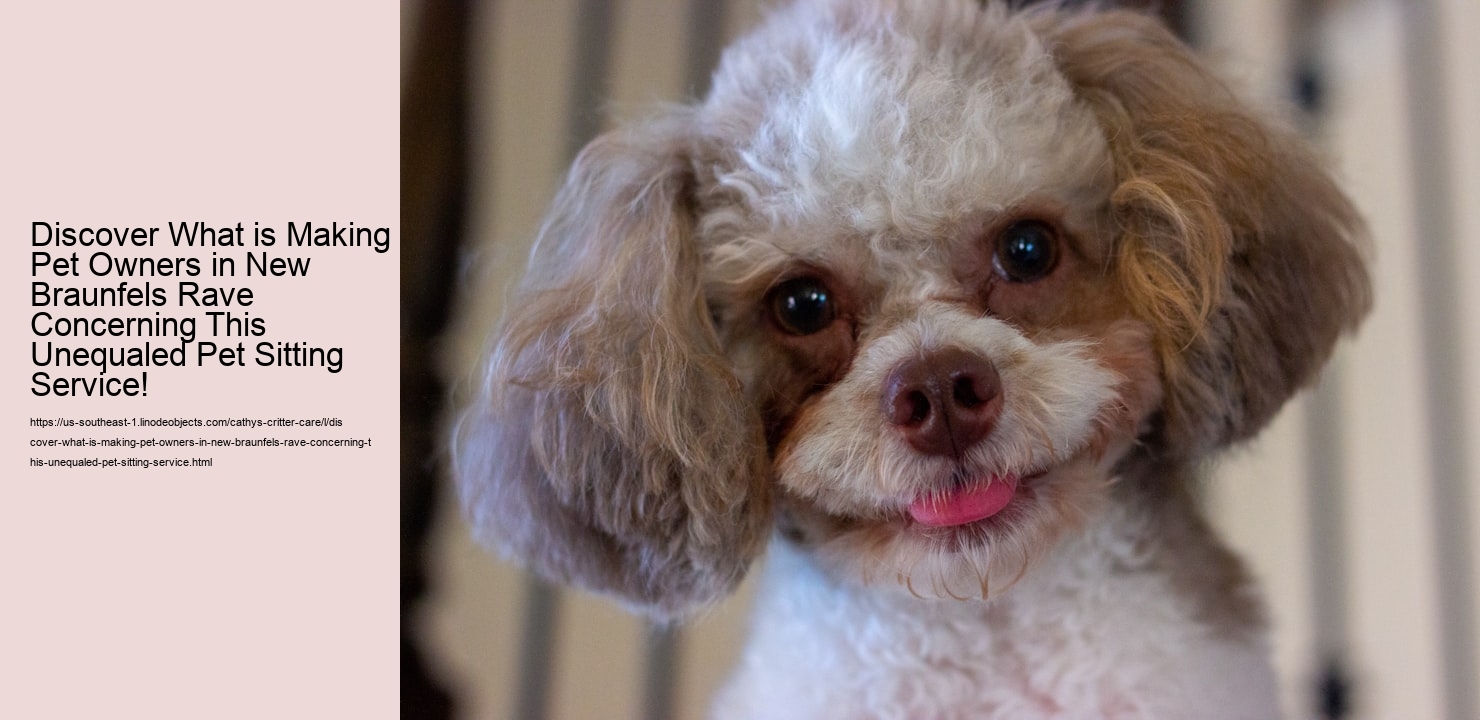 Discover What is Making Pet Owners in New Braunfels Rave Concerning This Unequaled Pet Sitting Service!