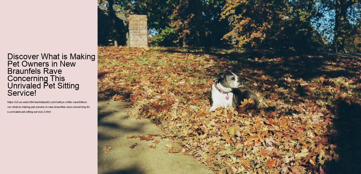 Discover What is Making Pet Owners in New Braunfels Rave Concerning This Unrivaled Pet Sitting Service!