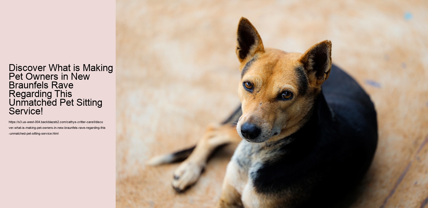 Discover What is Making Pet Owners in New Braunfels Rave Regarding This Unmatched Pet Sitting Service!