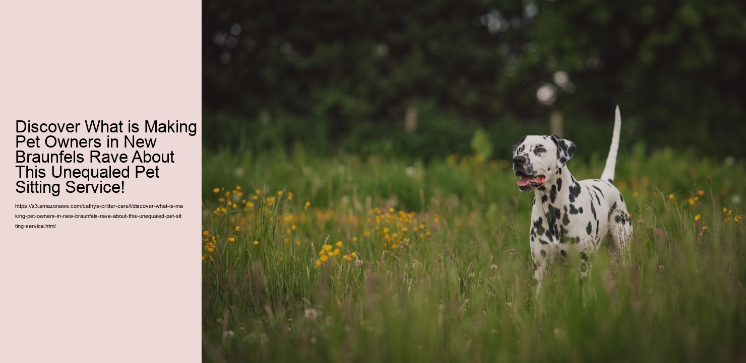 Discover What is Making Pet Owners in New Braunfels Rave About This Unequaled Pet Sitting Service!