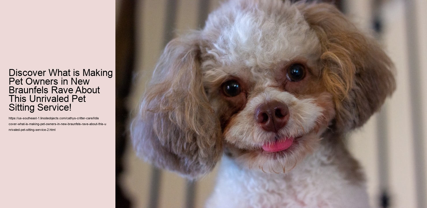 Discover What is Making Pet Owners in New Braunfels Rave About This Unrivaled Pet Sitting Service!