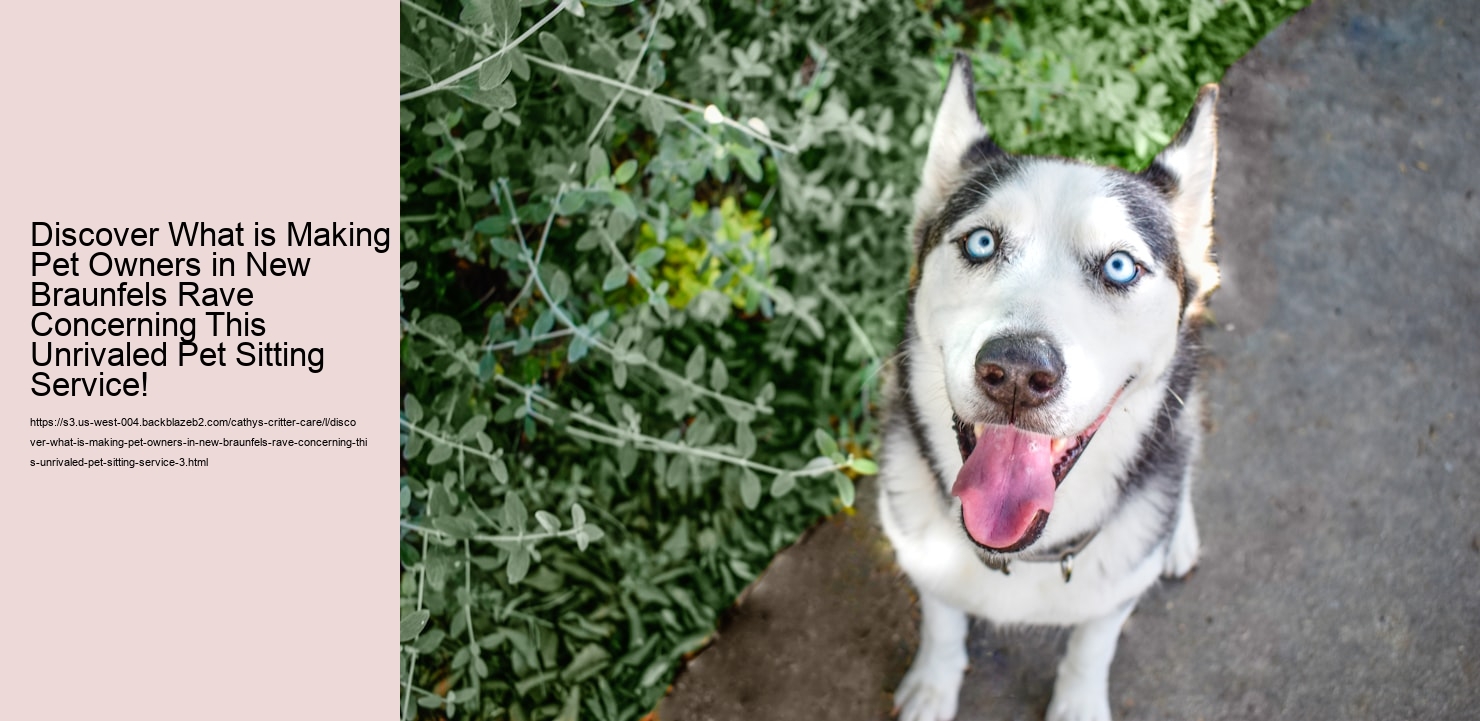 Discover What is Making Pet Owners in New Braunfels Rave Concerning This Unrivaled Pet Sitting Service!