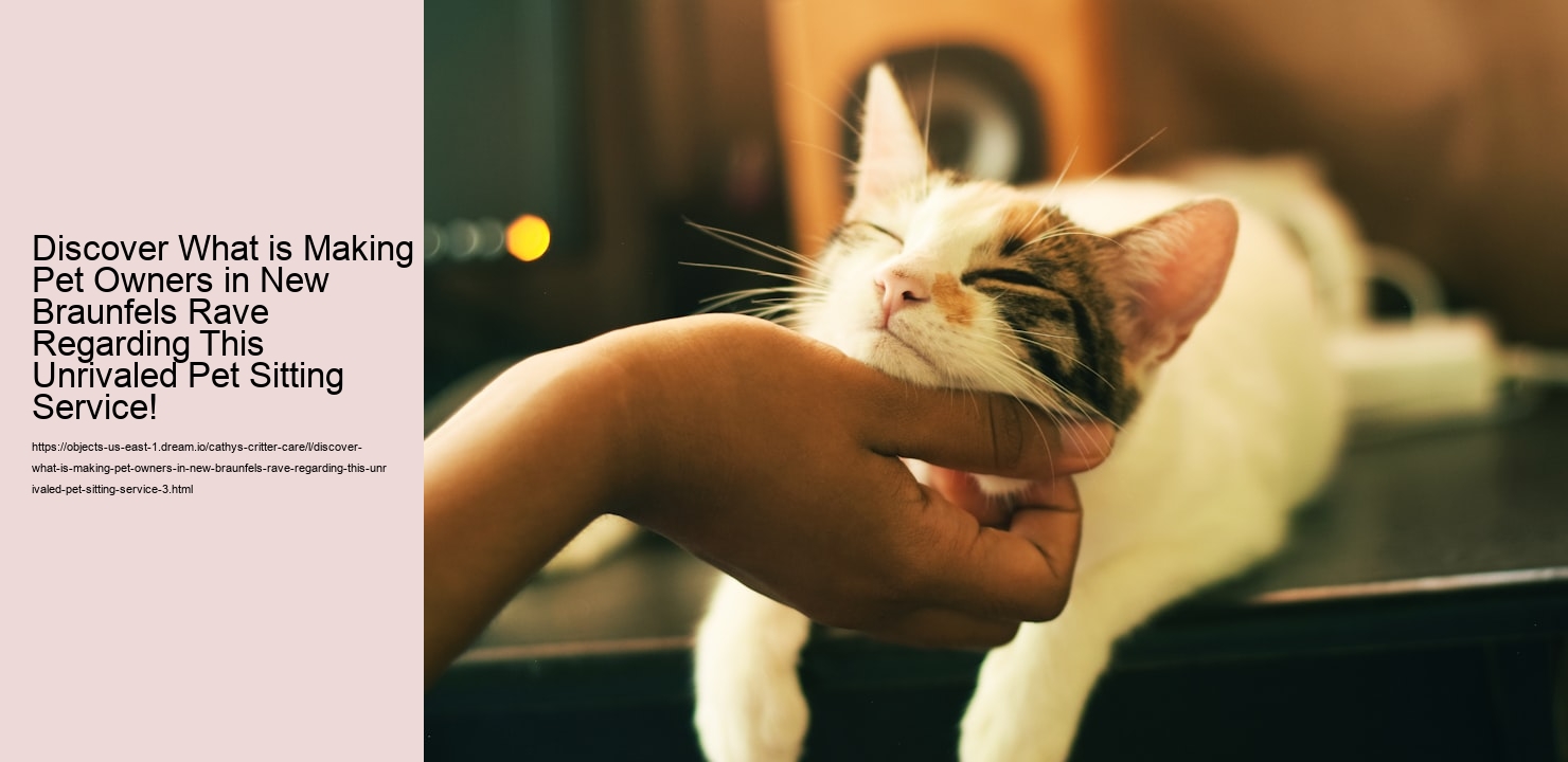 Discover What is Making Pet Owners in New Braunfels Rave Regarding This Unrivaled Pet Sitting Service!