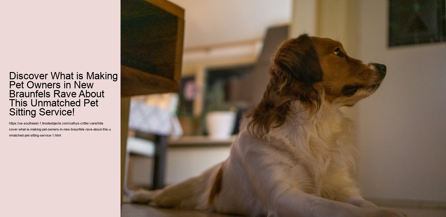 Discover What is Making Pet Owners in New Braunfels Rave About This Unmatched Pet Sitting Service!