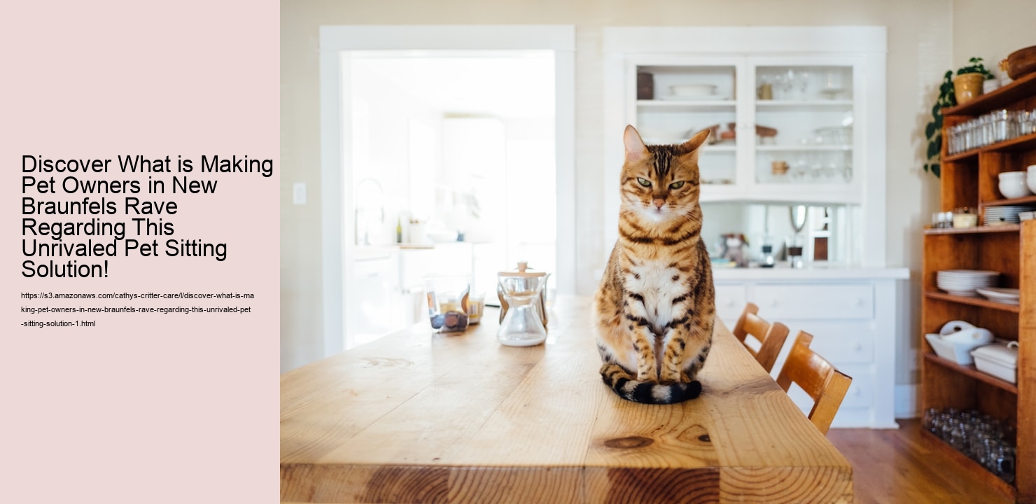 Discover What is Making Pet Owners in New Braunfels Rave Regarding This Unrivaled Pet Sitting Solution!