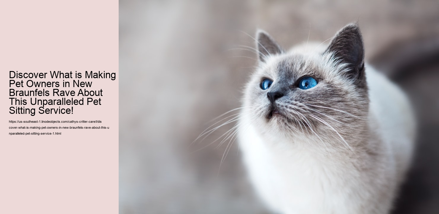 Discover What is Making Pet Owners in New Braunfels Rave About This Unparalleled Pet Sitting Service!
