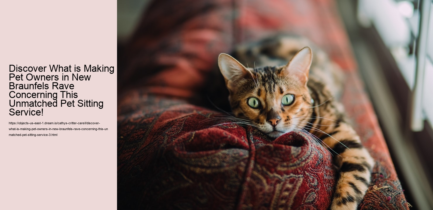 Discover What is Making Pet Owners in New Braunfels Rave Concerning This Unmatched Pet Sitting Service!