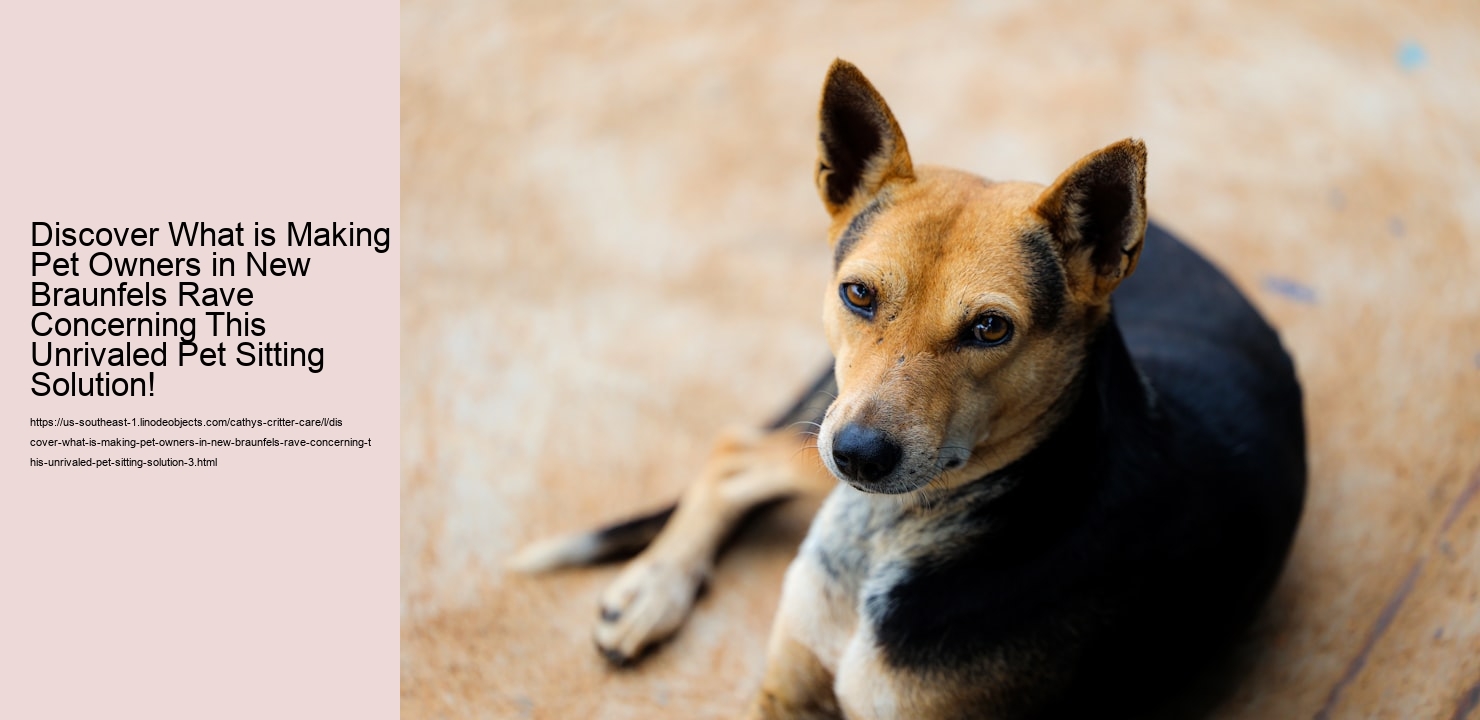 Discover What is Making Pet Owners in New Braunfels Rave Concerning This Unrivaled Pet Sitting Solution!