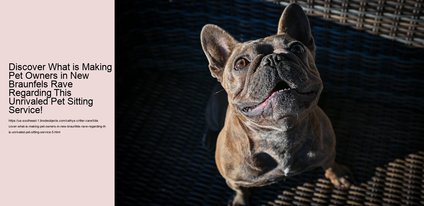 Discover What is Making Pet Owners in New Braunfels Rave Regarding This Unrivaled Pet Sitting Service!