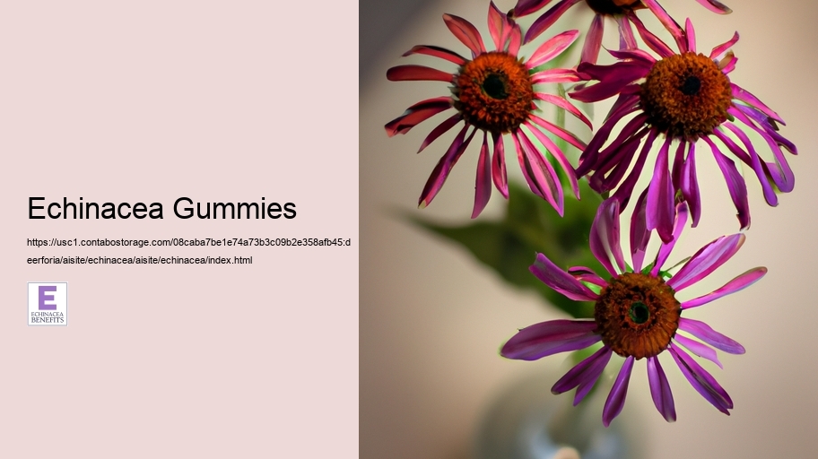 Echinacea Gummies