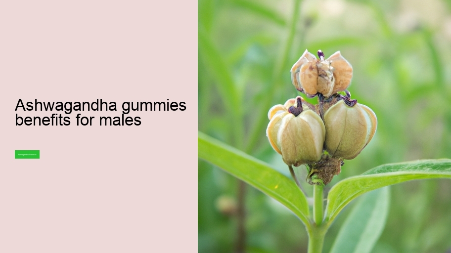 ashwagandha gummies benefits for males