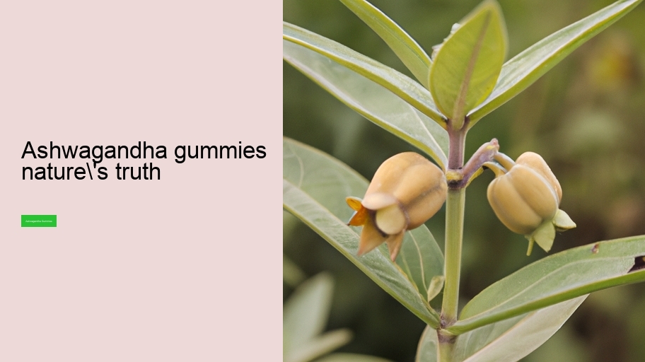 ashwagandha gummies nature's truth