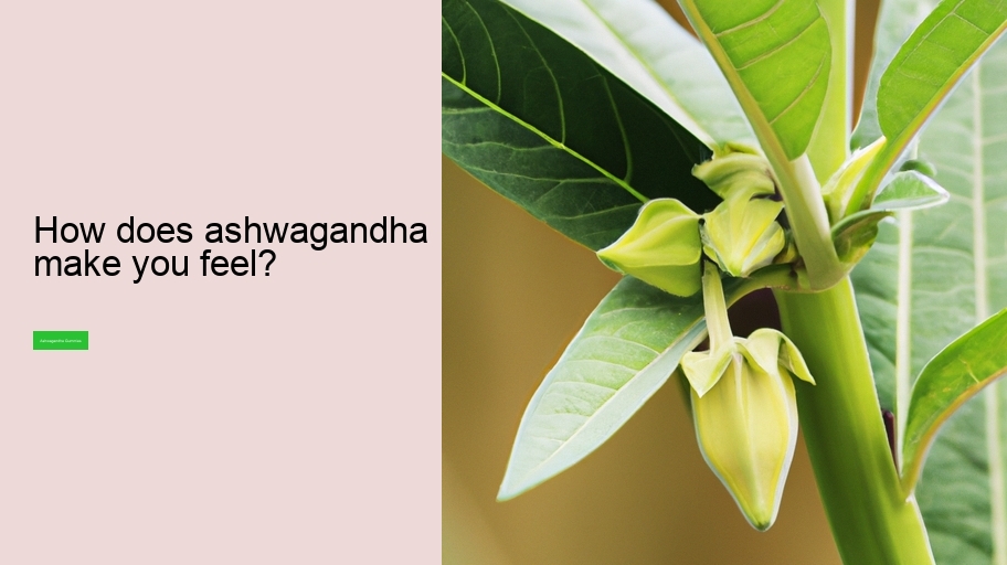 How does ashwagandha make you feel?