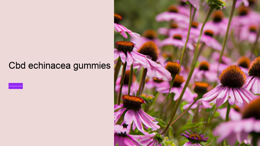 cbd echinacea gummies