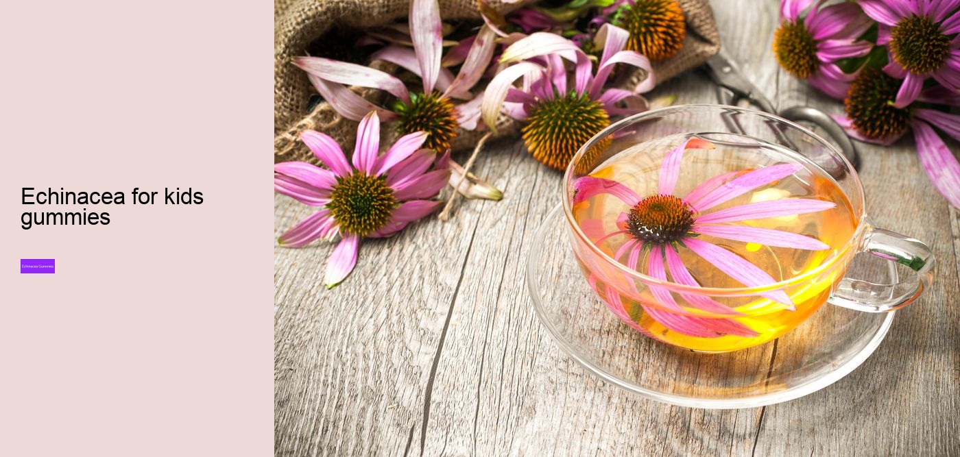 What does echinacea do to the brain?