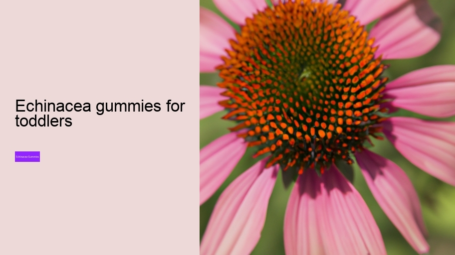 echinacea gummies for toddlers