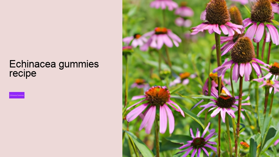 echinacea gummies recipe