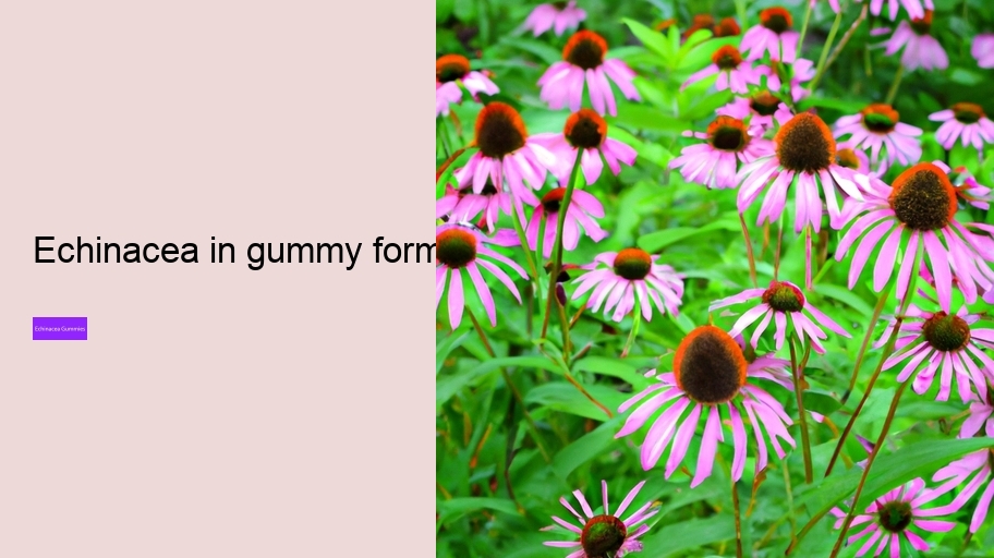 echinacea in gummy form