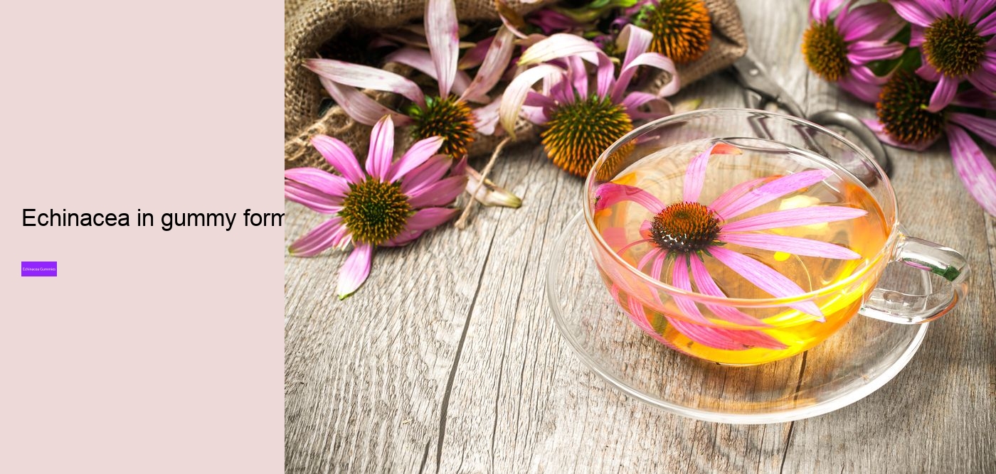 What happens if you take too much echinacea?