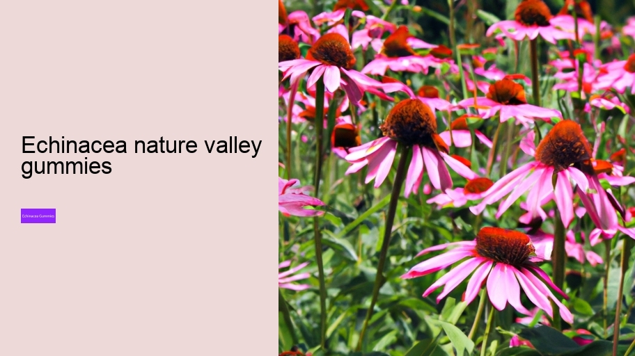 echinacea nature valley gummies