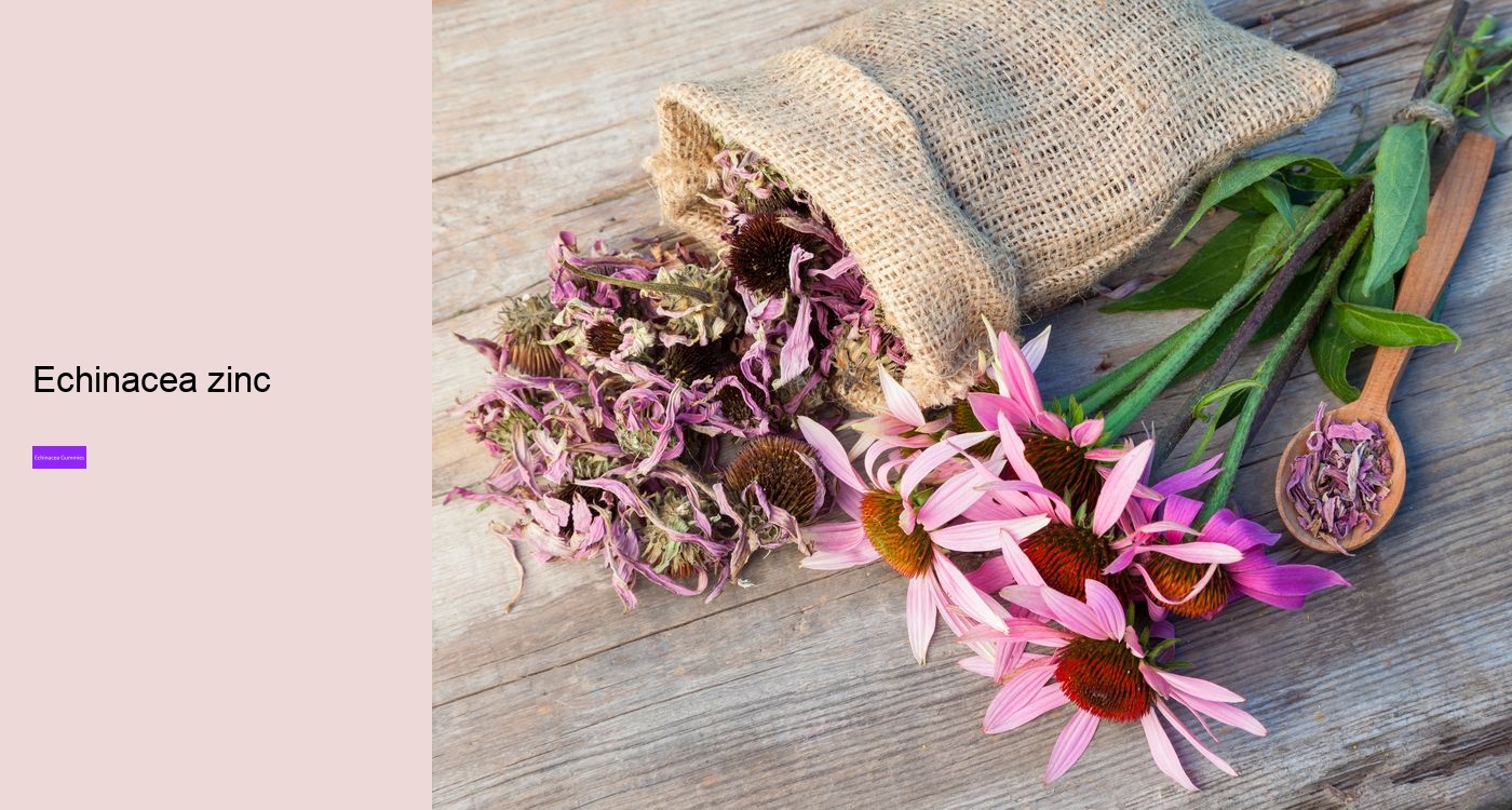 Is echinacea good before bed?