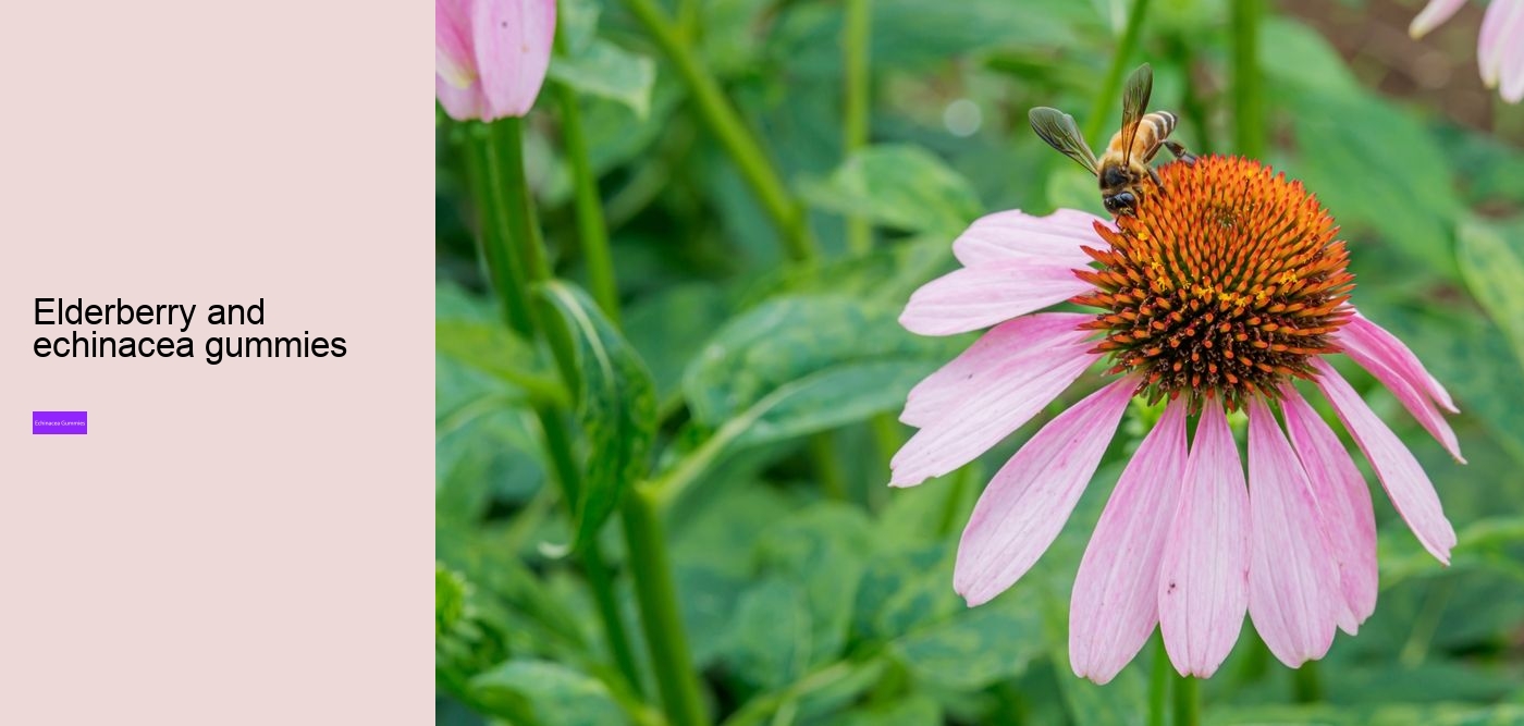 Can you take echinacea and vitamin C at the same time?