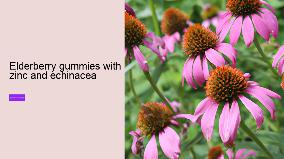 elderberry gummies with zinc and echinacea