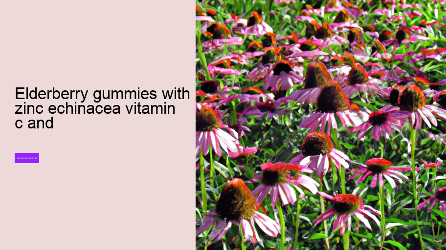 elderberry gummies with zinc echinacea vitamin c and