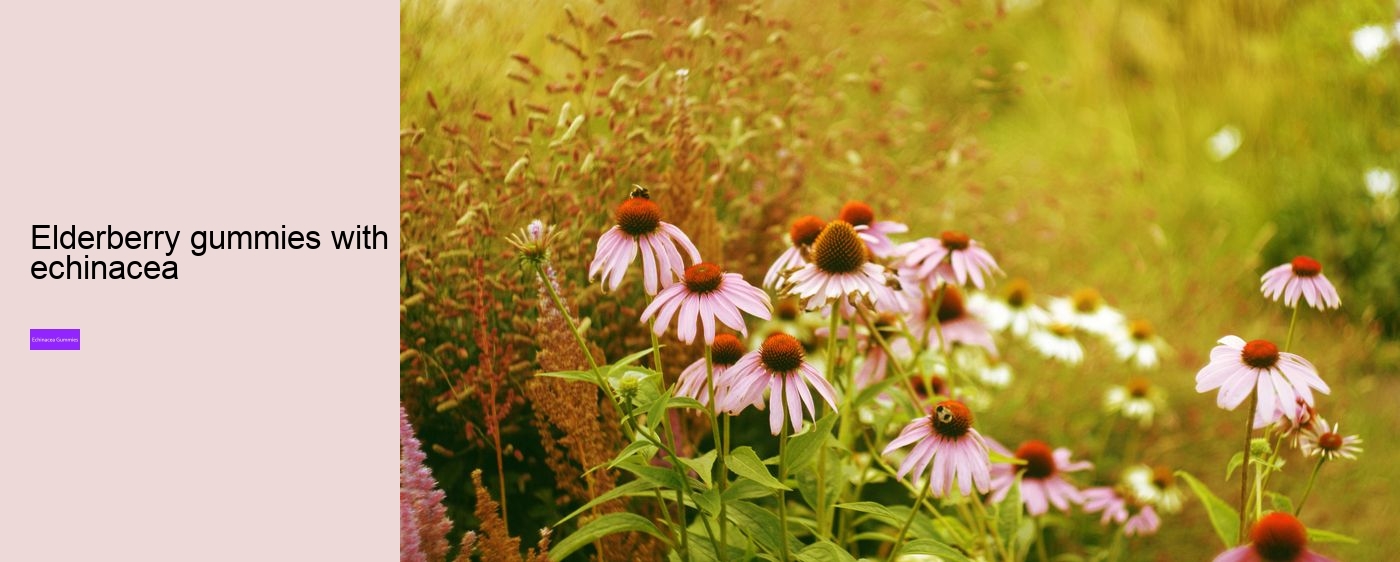 echinacea gummies recipe