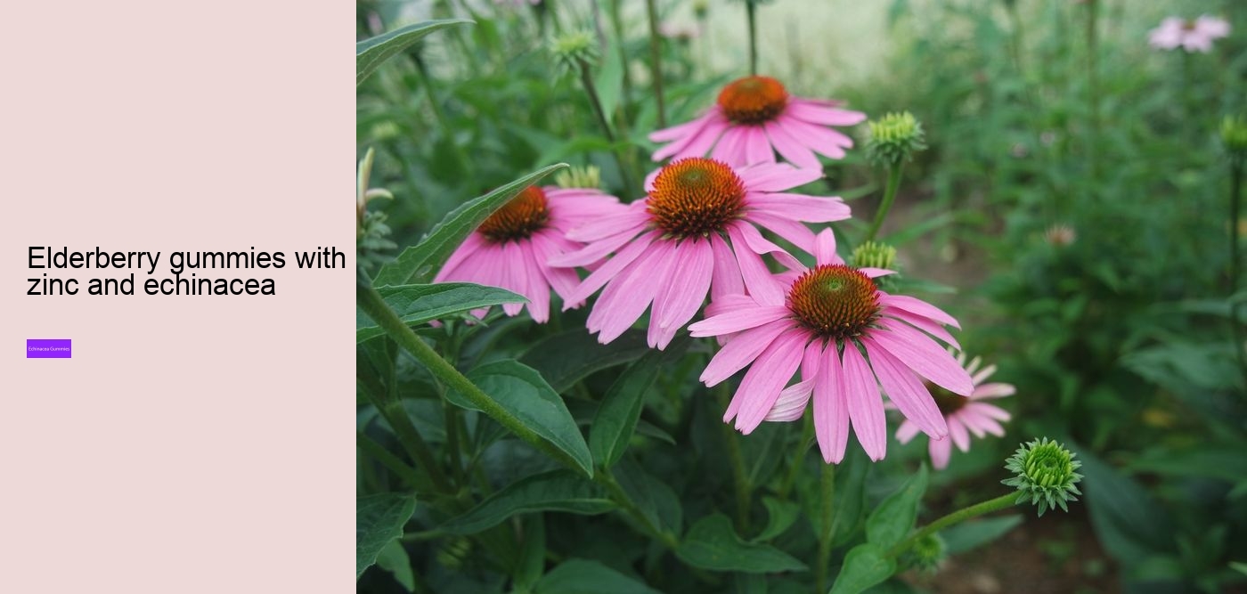 What does vitamin C echinacea do for you?