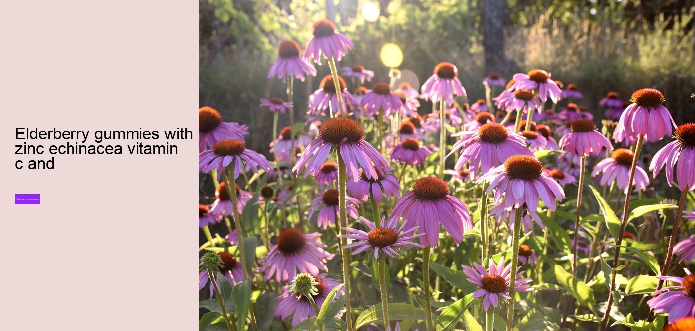 What are the side effects of echinacea?