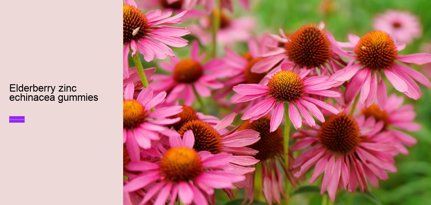 echinacea gummies for adults