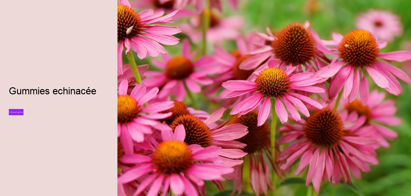 Is echinacea safe for heart?