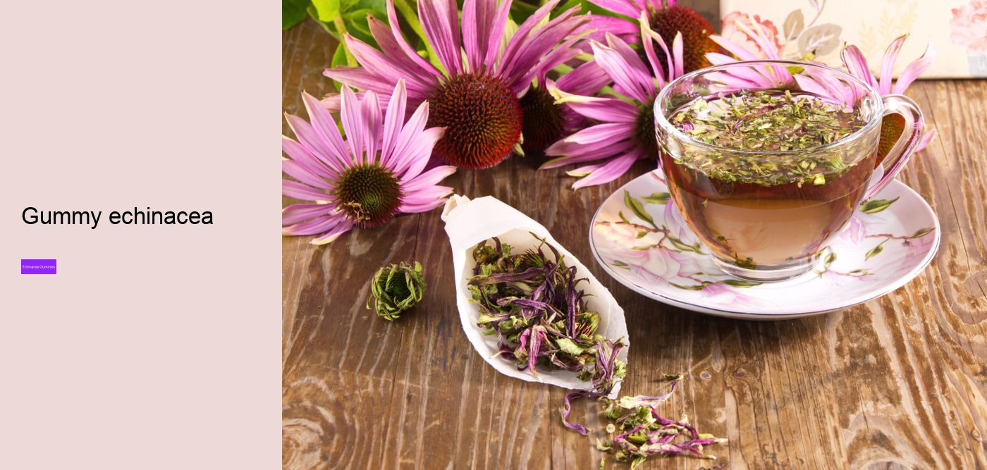 What happens if you take too much echinacea?