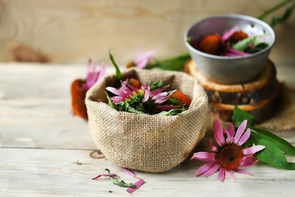 Is echinacea hard on the liver?