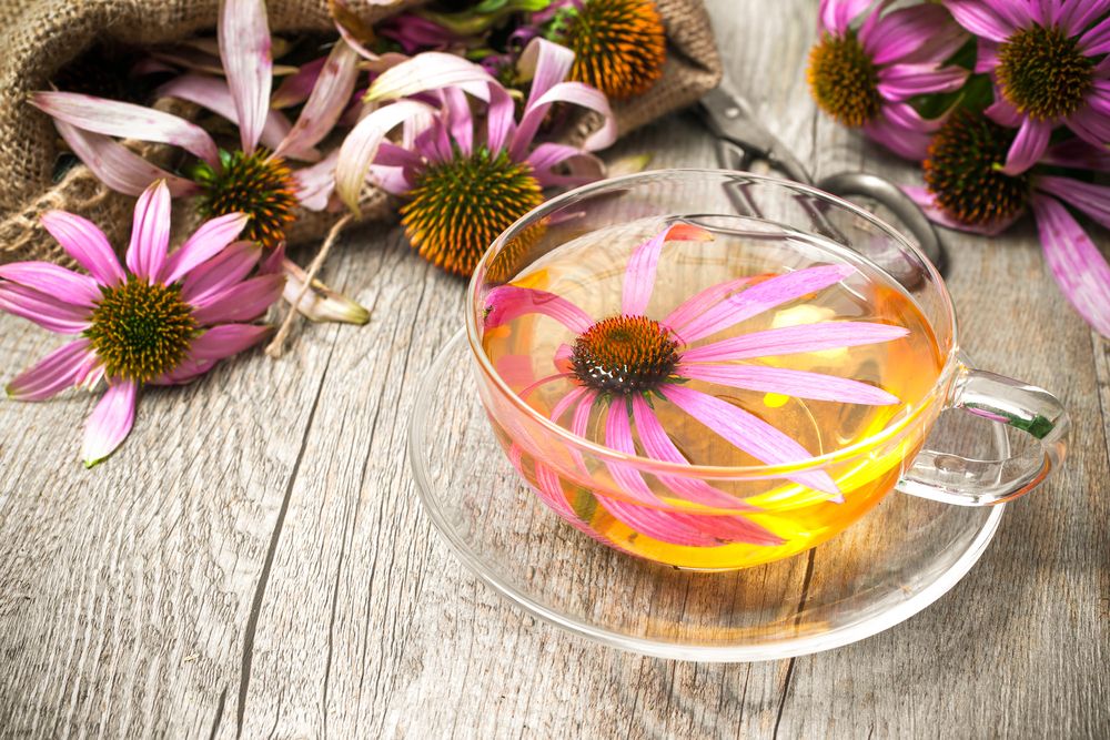 Is echinacea good for anxiety?