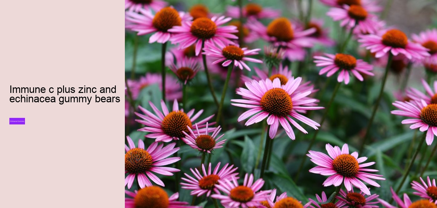 What's the best form of echinacea?