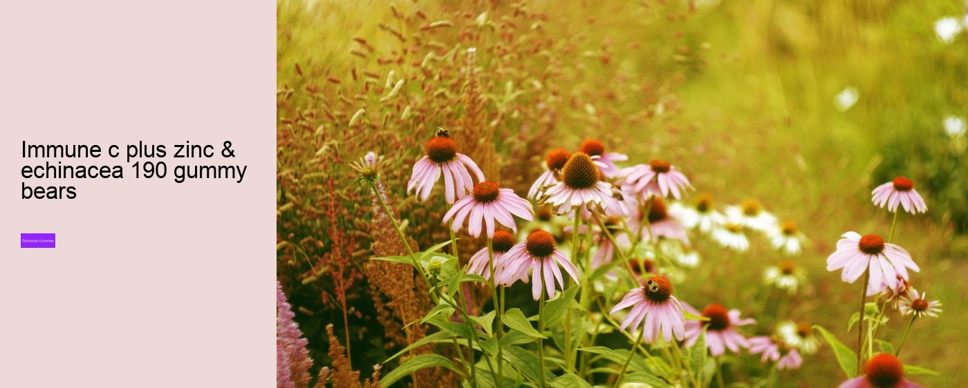 multivitamin gummies with echinacea extract