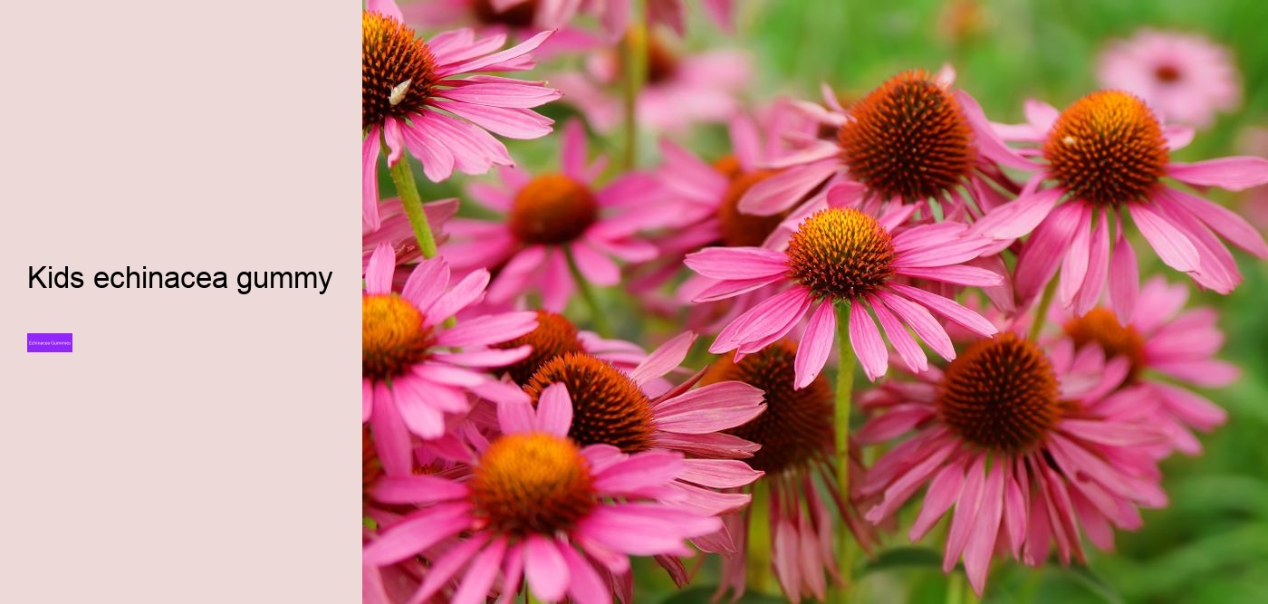 echinacea in gummy form