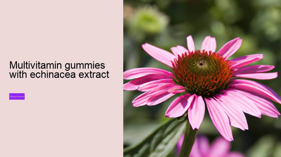 multivitamin gummies with echinacea extract