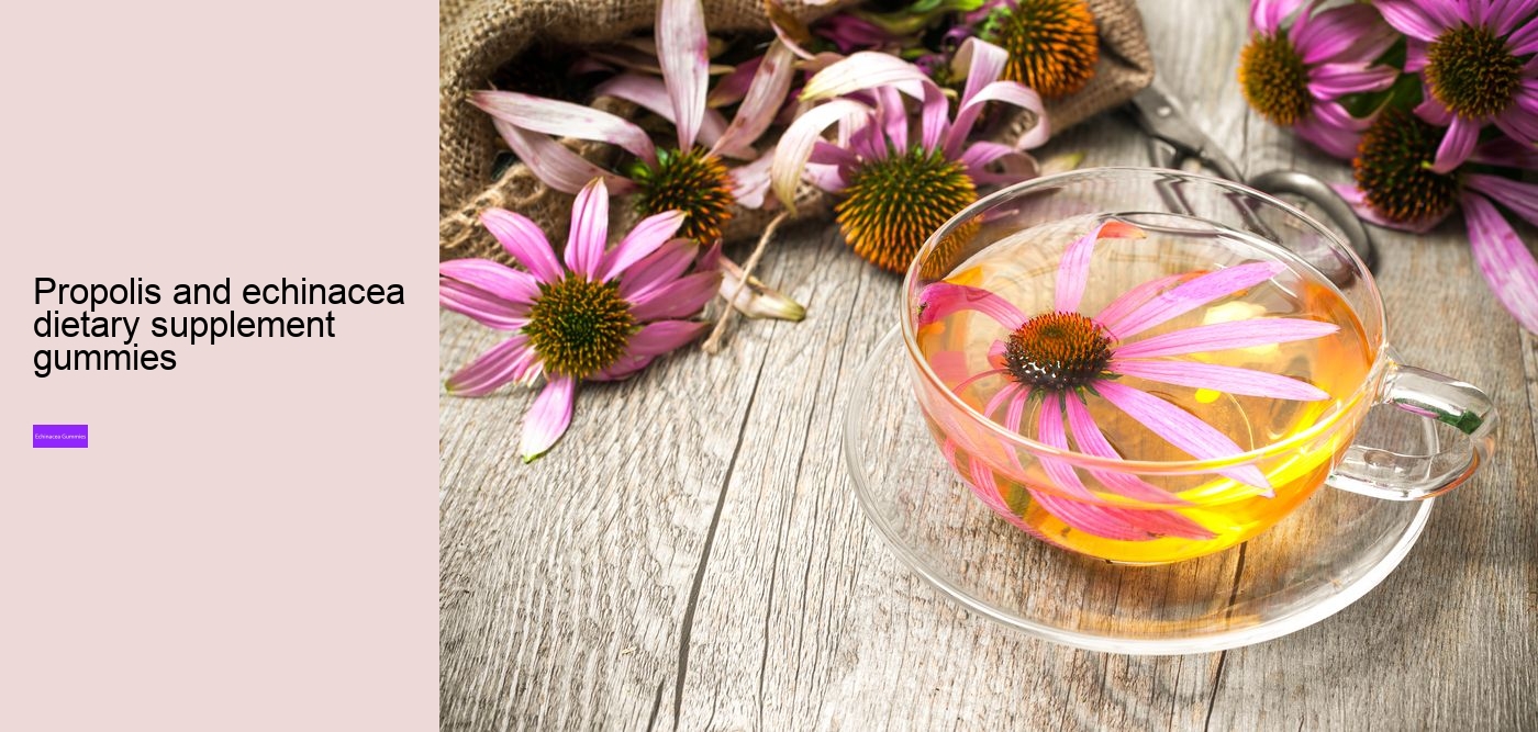 What vitamins are in echinacea?