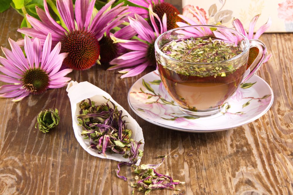 What are the side effects of echinacea?