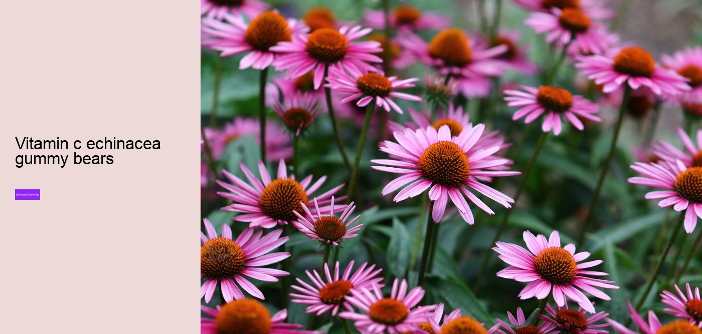 kids echinacea gummy