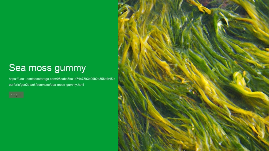 sea moss gummy